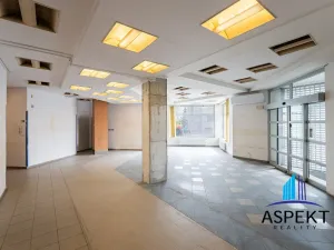 Pronájem obchodního prostoru, Praha - Kobylisy, U třešňovky, 224 m2
