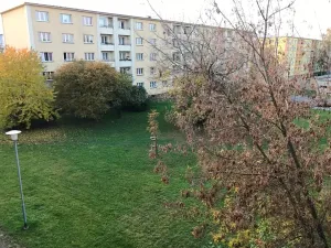 Prodej bytu 2+1, Ostrava, Klegova, 54 m2