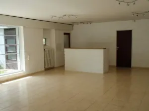 Pronájem vily, Praha - Braník, Vítovcova, 680 m2