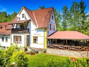 Prodej ubytování, Větřní - Nahořany, 250 m2