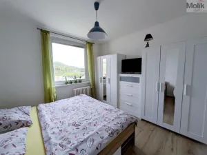 Prodej bytu 3+1, Teplice - Prosetice, Pod hvězdárnou, 74 m2
