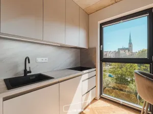 Prodej bytu 1+kk, Plzeň, Kamenická, 40 m2