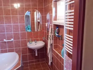 Prodej rodinného domu, Březová, 266 m2