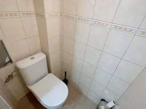 Pronájem bytu 2+1, Praha - Košíře, Vrchlického, 46 m2