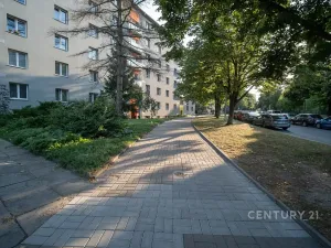 Pronájem bytu 2+1, Praha - Žižkov, Pod lipami, 52 m2