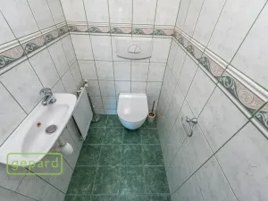 Prodej rodinného domu, Slaný, Alešova, 180 m2