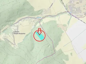 Prodej lesa, Liberec, 14111 m2