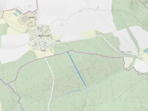 Prodej lesa, Ločenice, 8295 m2