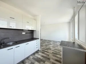 Pronájem bytu 2+1, Osek, Hrdlovská, 63 m2