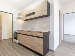 Prodej bytu 2+1, Ryžoviště, Tovární, 52 m2