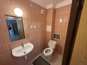 Pronájem bytu 1+1, Brozany nad Ohří, Voborského, 34 m2