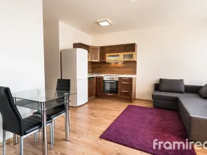 Pronájem bytu 2+kk, Brno, Anenská, 51 m2