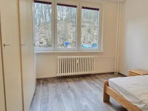 Pronájem bytu 3+1, Litvínov - Hamr, Na Kopci, 66 m2