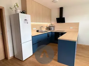 Prodej bytu 3+kk, Rašovice, 115 m2