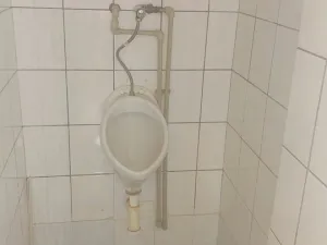 Prodej rodinného domu, Aš, Tyršova, 193 m2