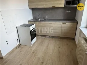 Pronájem bytu 1+kk, Třinec, Pod břehem, 26 m2