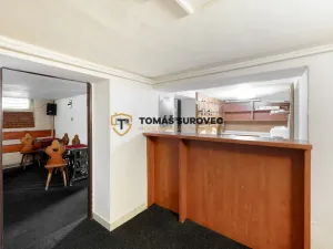 Prodej ubytování, Nedašov, 200 m2