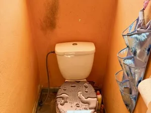 Prodej rodinného domu, Přehýšov, 160 m2