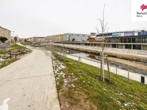 Pronájem bytu 2+kk, Brno, Renneská třída, 44 m2