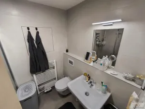 Pronájem bytu 1+kk, Olomouc, Eduarda Hamburgera, 32 m2