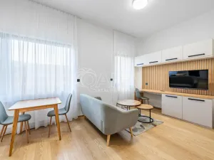 Pronájem bytu 1+kk, Praha - Karlín, Pobřežní, 35 m2