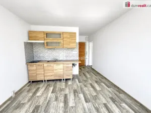 Pronájem bytu 1+1, Klášterec nad Ohří, Družstevní, 40 m2