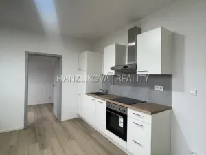 Pronájem bytu 2+1, České Budějovice - České Budějovice 4, Rudolfovská tř., 50 m2