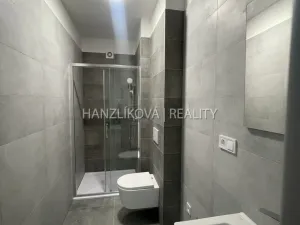 Pronájem bytu 2+1, České Budějovice - České Budějovice 4, Rudolfovská tř., 50 m2