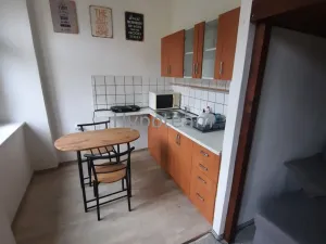 Pronájem bytu 1+kk, Ústí nad Labem - Klíše, Palachova, 40 m2