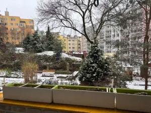 Pronájem bytu 2+1, Praha, Musílkova, 70 m2