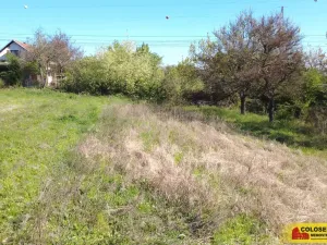 Prodej zahrady, Modřice, 793 m2