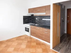 Pronájem bytu 1+1, Jihlava, Březinova, 33 m2