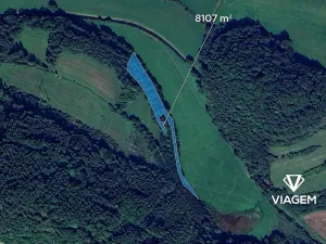 Prodej podílu lesa, Vranová Lhota, 4729 m2