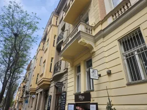 Pronájem bytu 3+1, Praha - Vinohrady, Mánesova, 120 m2