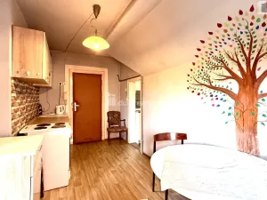 Prodej bytu 1+1, Karlovy Vary - Stará Role, Hlávkova, 58 m2