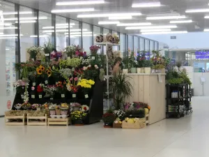 Pronájem bytu 2+kk, Praha - Stodůlky, Mukařovského, 48 m2