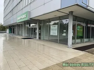 Pronájem obchodního prostoru, Praha - Strašnice, V olšinách, 115 m2