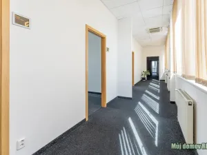 Pronájem obchodního prostoru, Praha - Strašnice, V olšinách, 95 m2