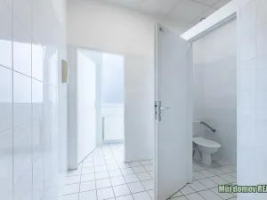 Pronájem obchodního prostoru, Praha - Strašnice, V olšinách, 95 m2
