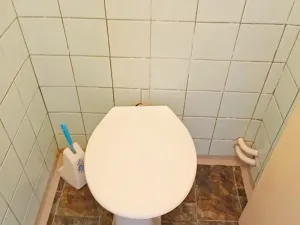 Prodej rodinného domu, Bratkovice, 100 m2
