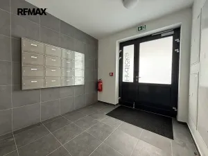 Pronájem bytu 1+kk, Dobřany, 38 m2