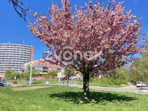 Pronájem bytu 3+1, Zlín, Budovatelská, 69 m2