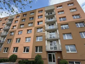 Prodej bytu 1+1, Světlá nad Sázavou, Na Bradle, 33 m2