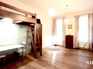 Pronájem bytu 1+kk, Praha - Nové Město, Tyršova, 30 m2
