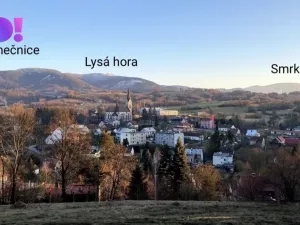 Prodej pozemku pro bydlení, Janovice, 9446 m2
