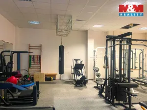 Prodej bytu 4+kk, Liberec - Liberec III-Jeřáb, Americká, 103 m2