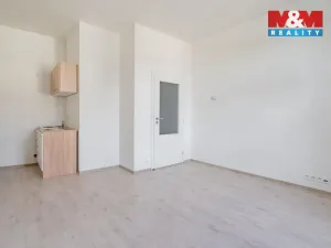 Pronájem bytu 1+kk, České Budějovice - České Budějovice 3, Rudolfovská tř., 23 m2