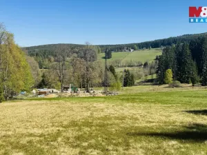 Prodej louky, Stachy, 4150 m2