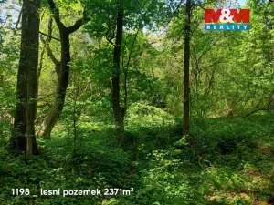 Prodej pozemku, Pňov-Předhradí, 151762 m2