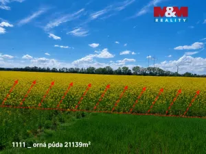Prodej pozemku, Pňov-Předhradí, 151762 m2